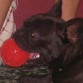 mi jimbete con su pelota